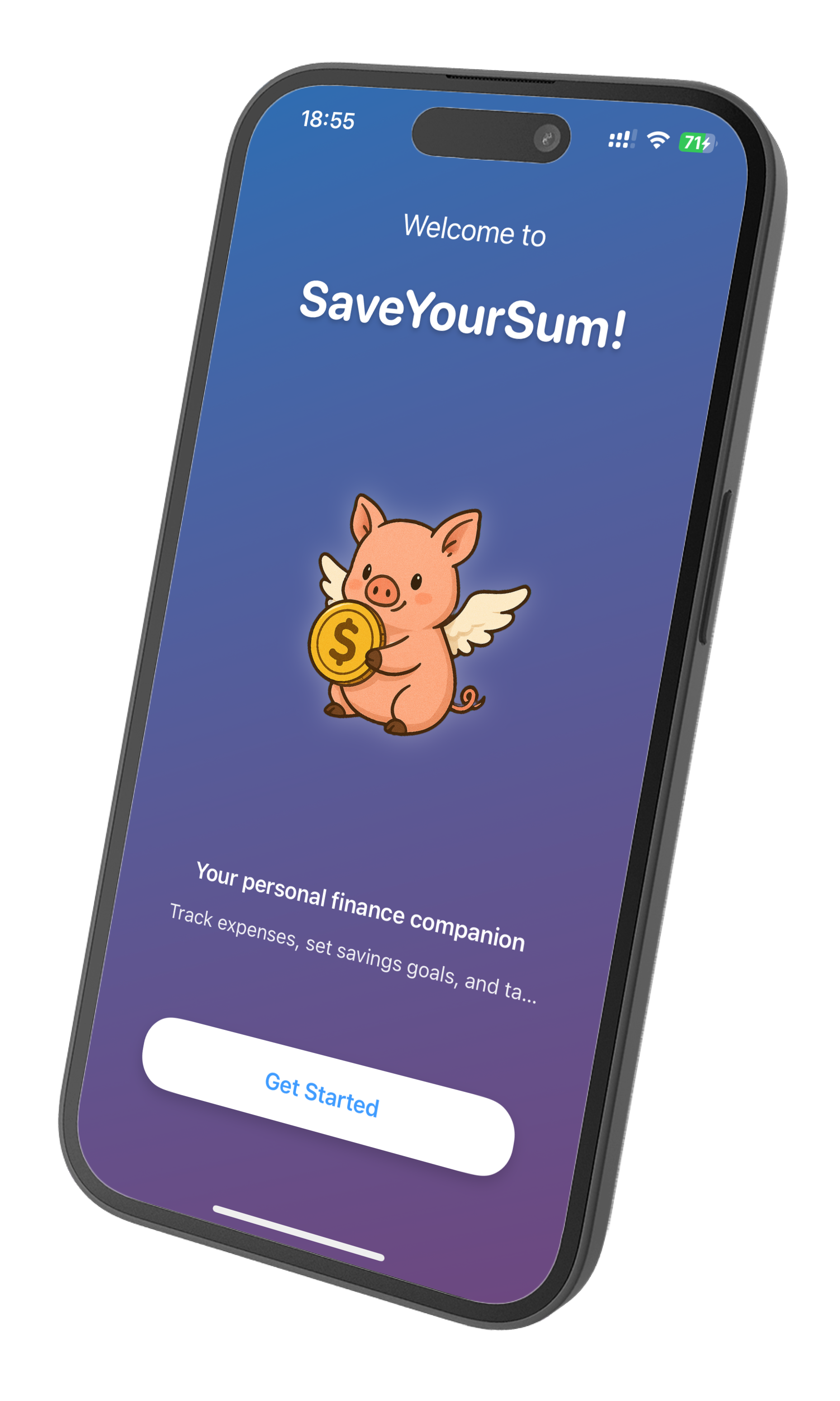 SaveYourSum welcome screen